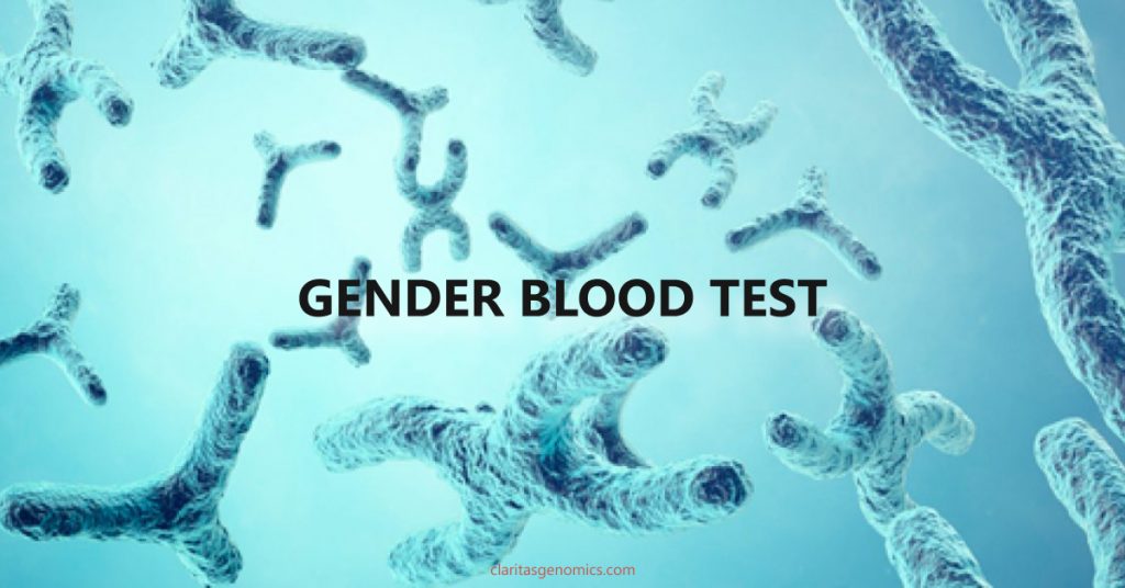 Gender Blood Test Illustration