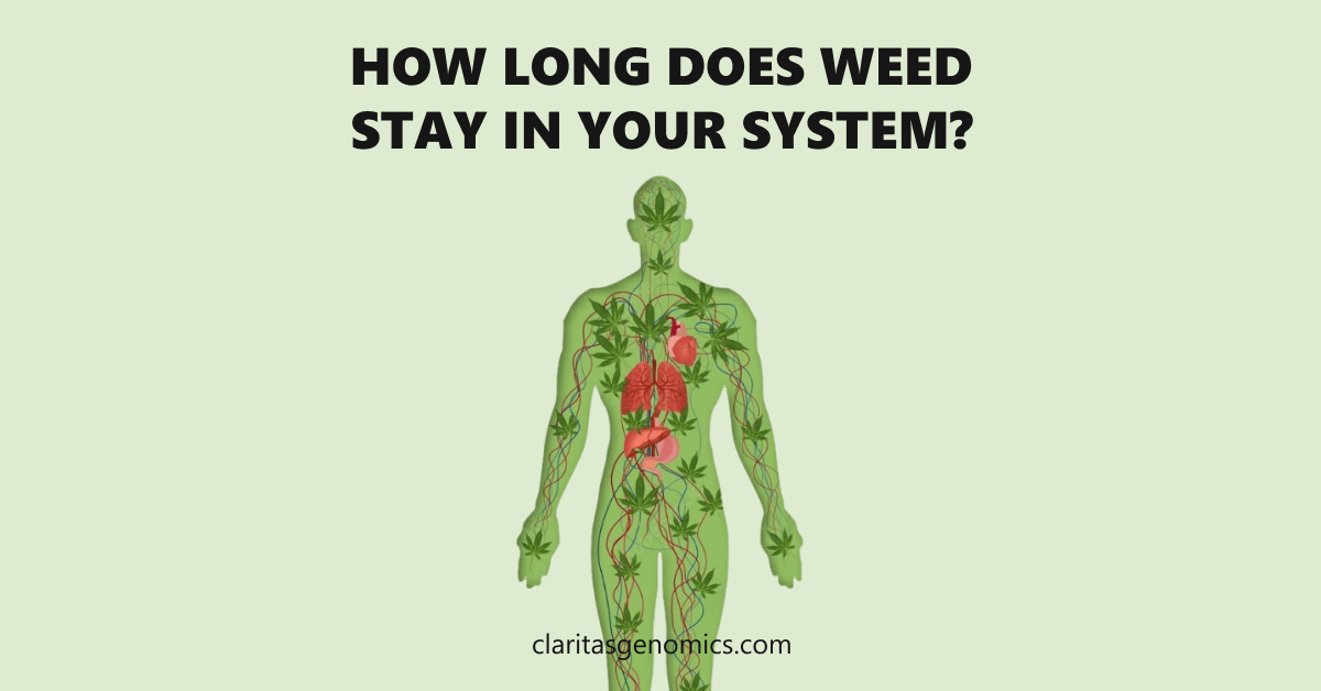 How Long Does Weed Stay In Your System?